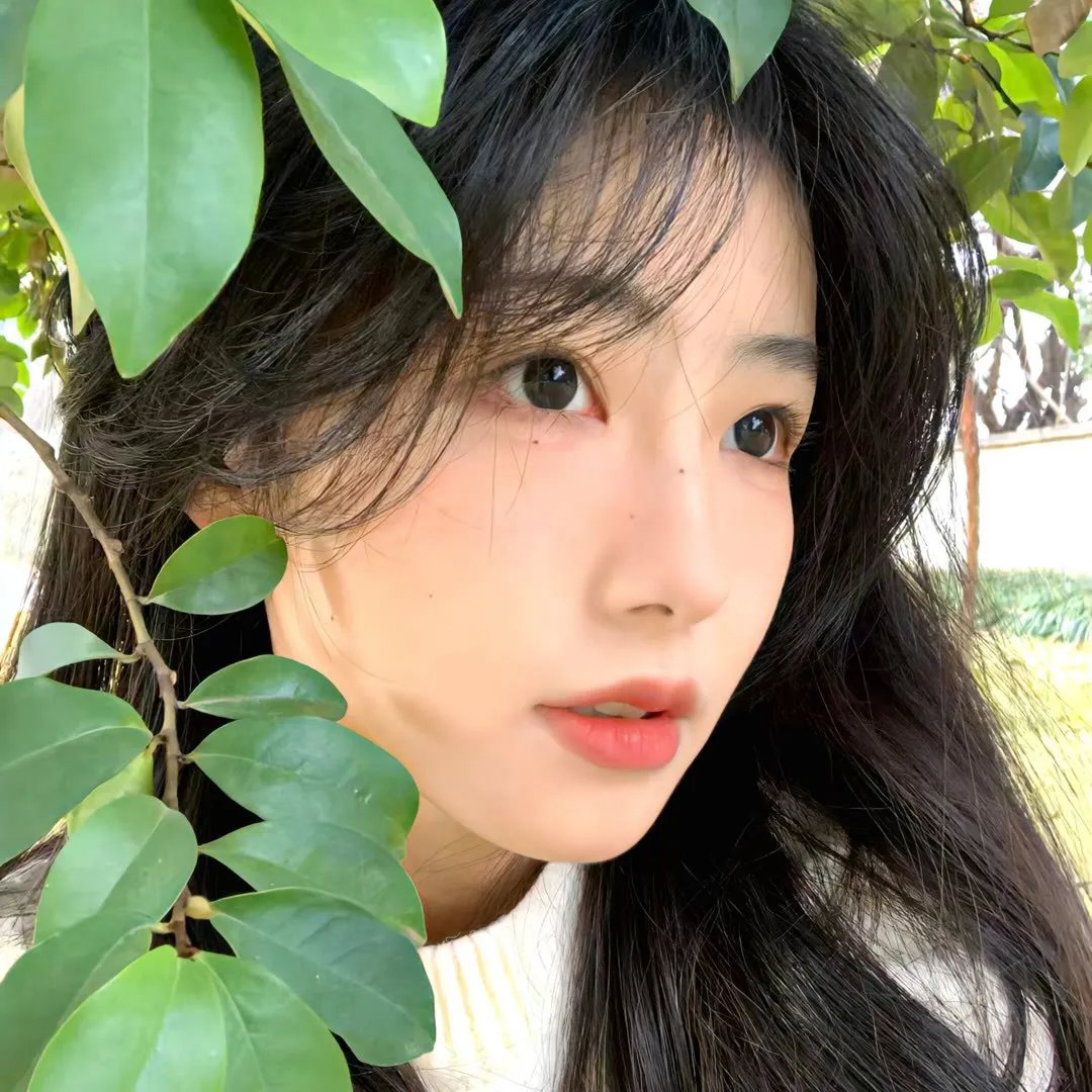 情摄大师